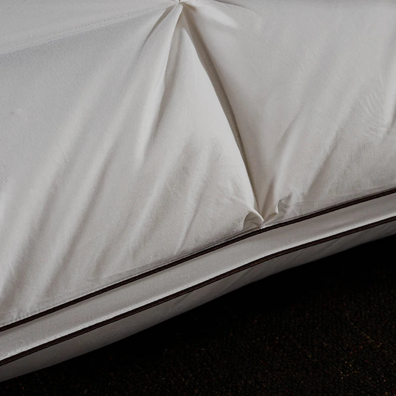 "CloudNest" Premium Pillows